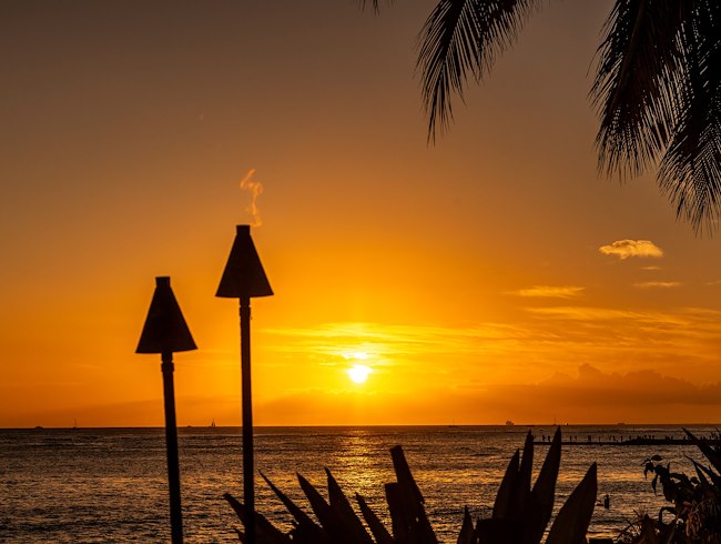 Thanksgiving Buffet Dinner